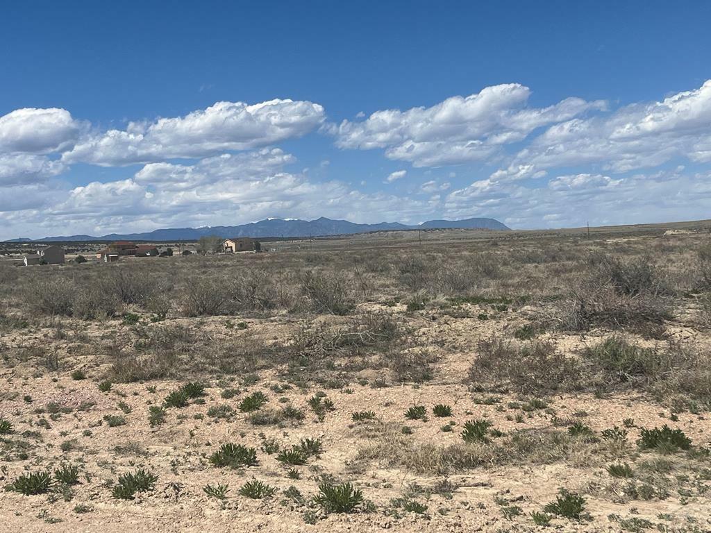 Property Photo: 828 Cholla Dr CO 81007