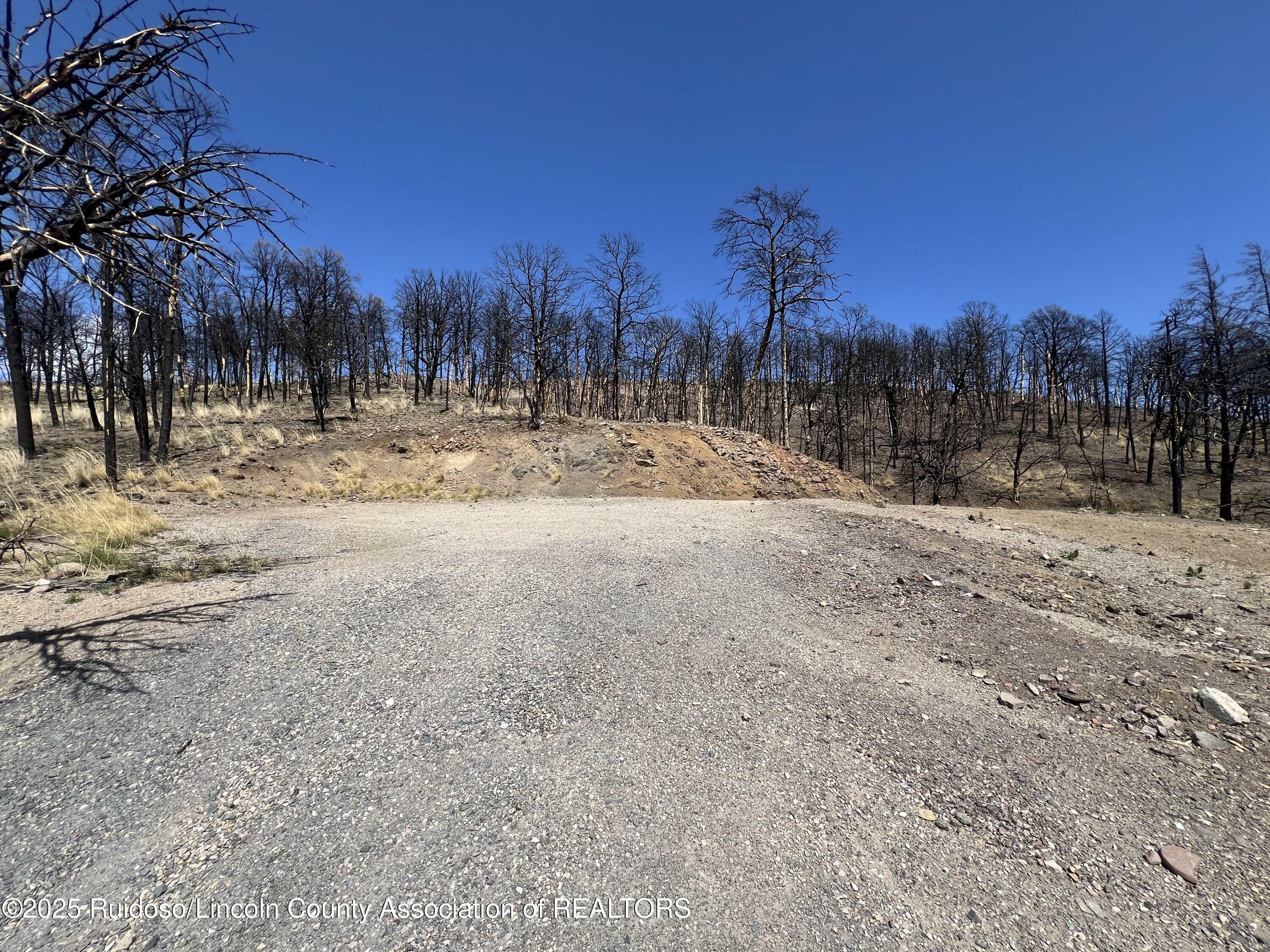 Property Photo: 113 Red River Place NM 88345