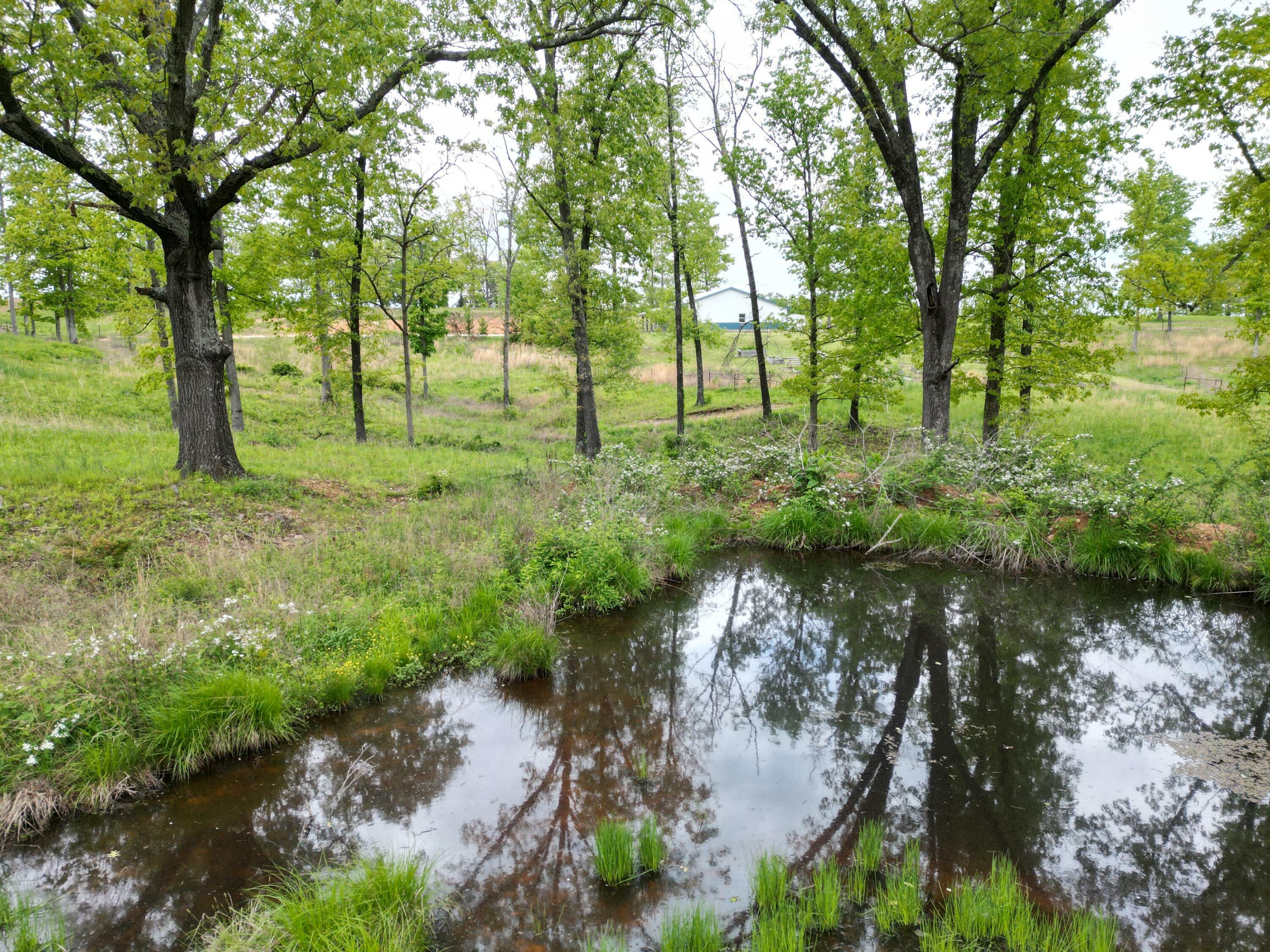 Property Photo: 8065 Gourley Road MO 65711
