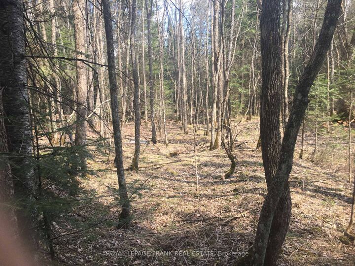 Property Photo:  0 Pt Lt 13 Con 8 Road  ON K0L 1A0 