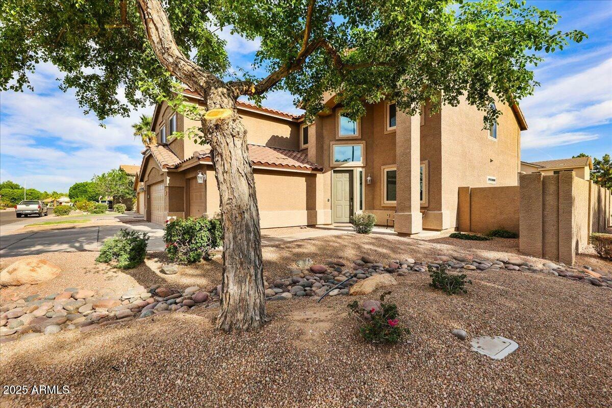 462 W Myrtle Drive  Chandler AZ 85248 photo