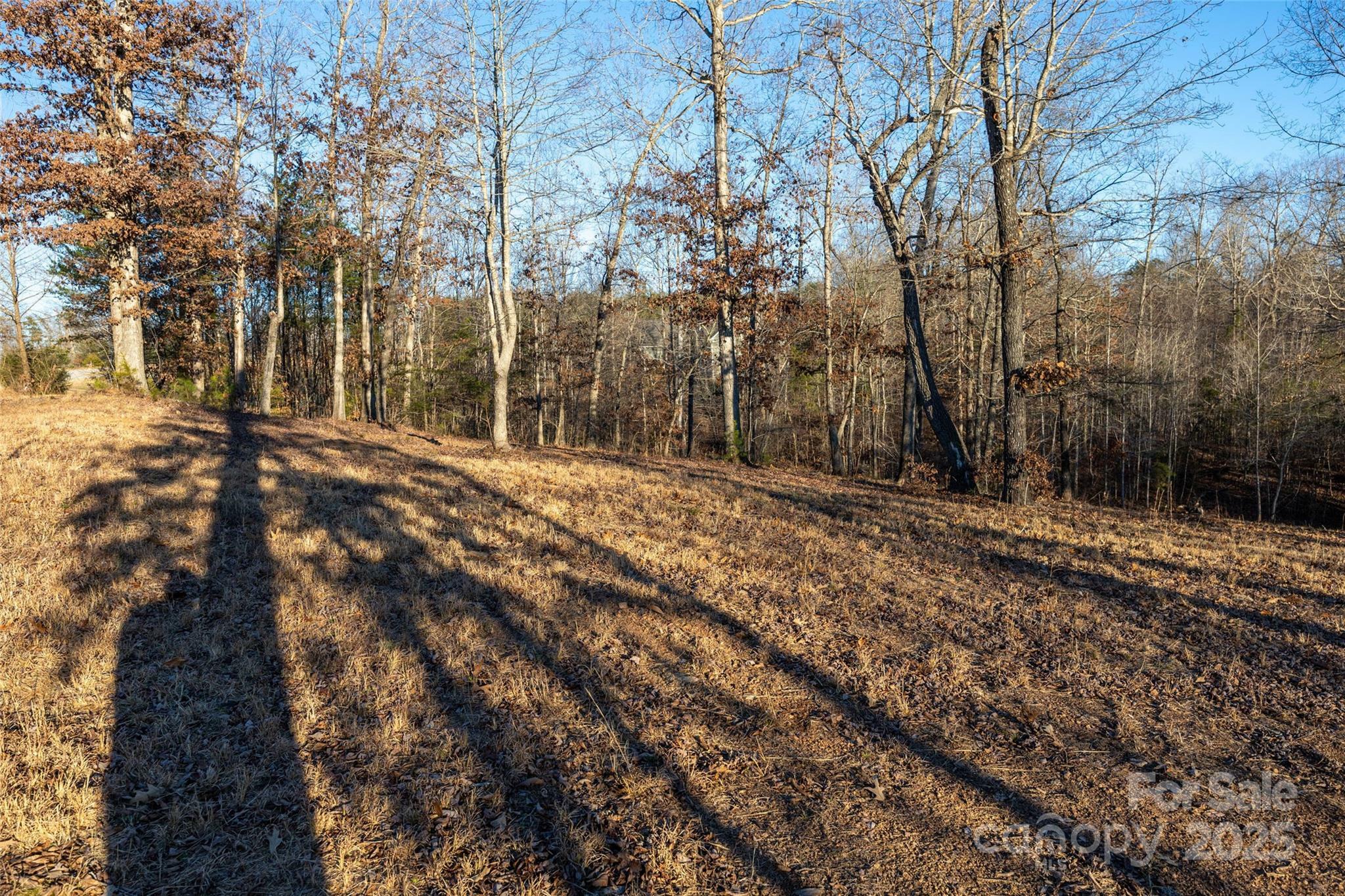 Property Photo: 0 Baber Forest Drive NC 28139