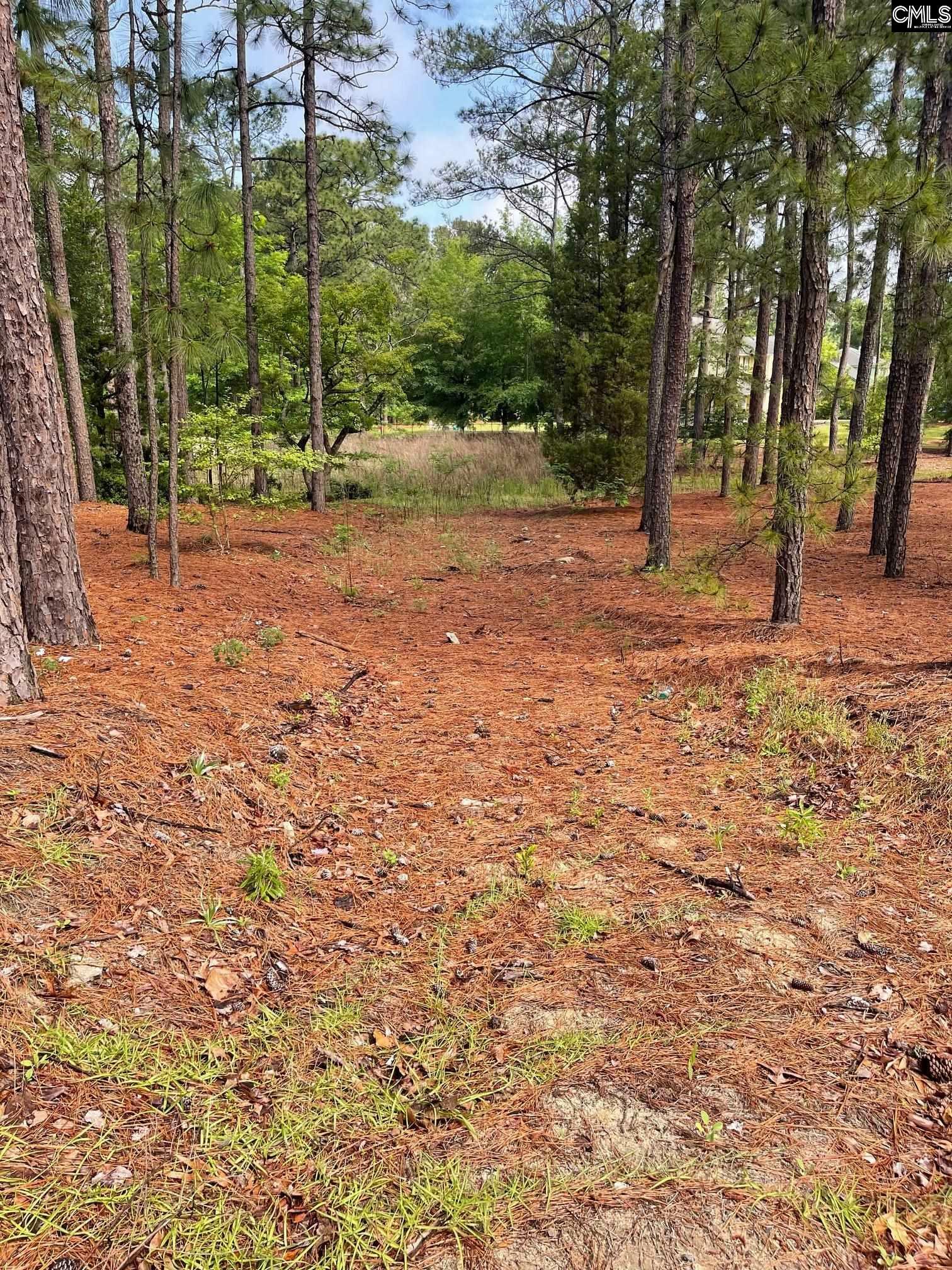 Property Photo:  2233 Bee Ridge  SC 29223 