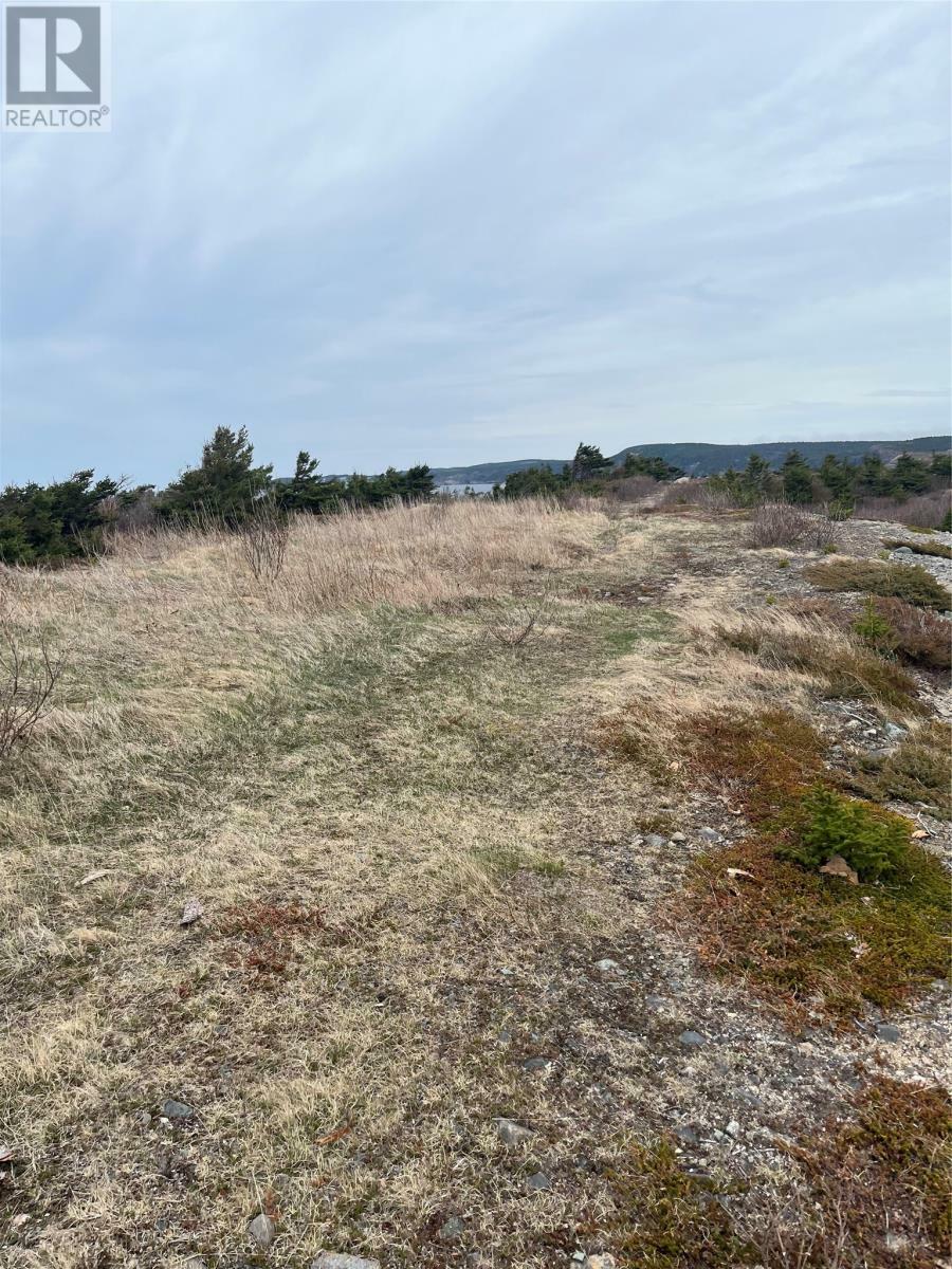Photo de la propriété:  1C Main Road  NL A0C 1T0 