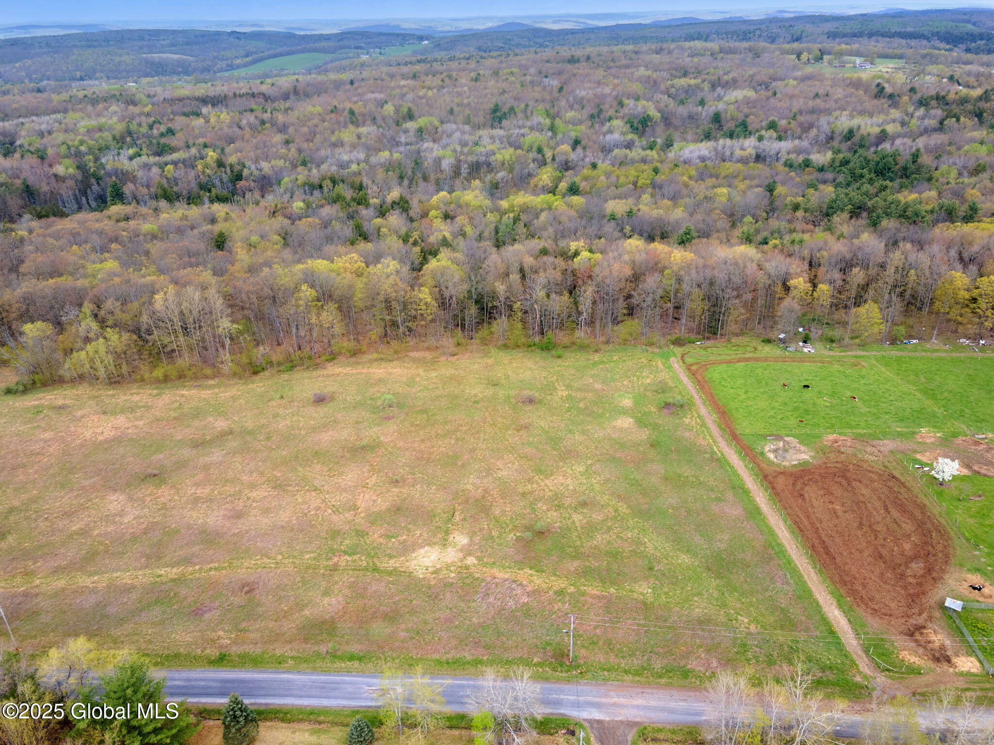 Property Photo: L18 Wylie Horton Rd NY 13778