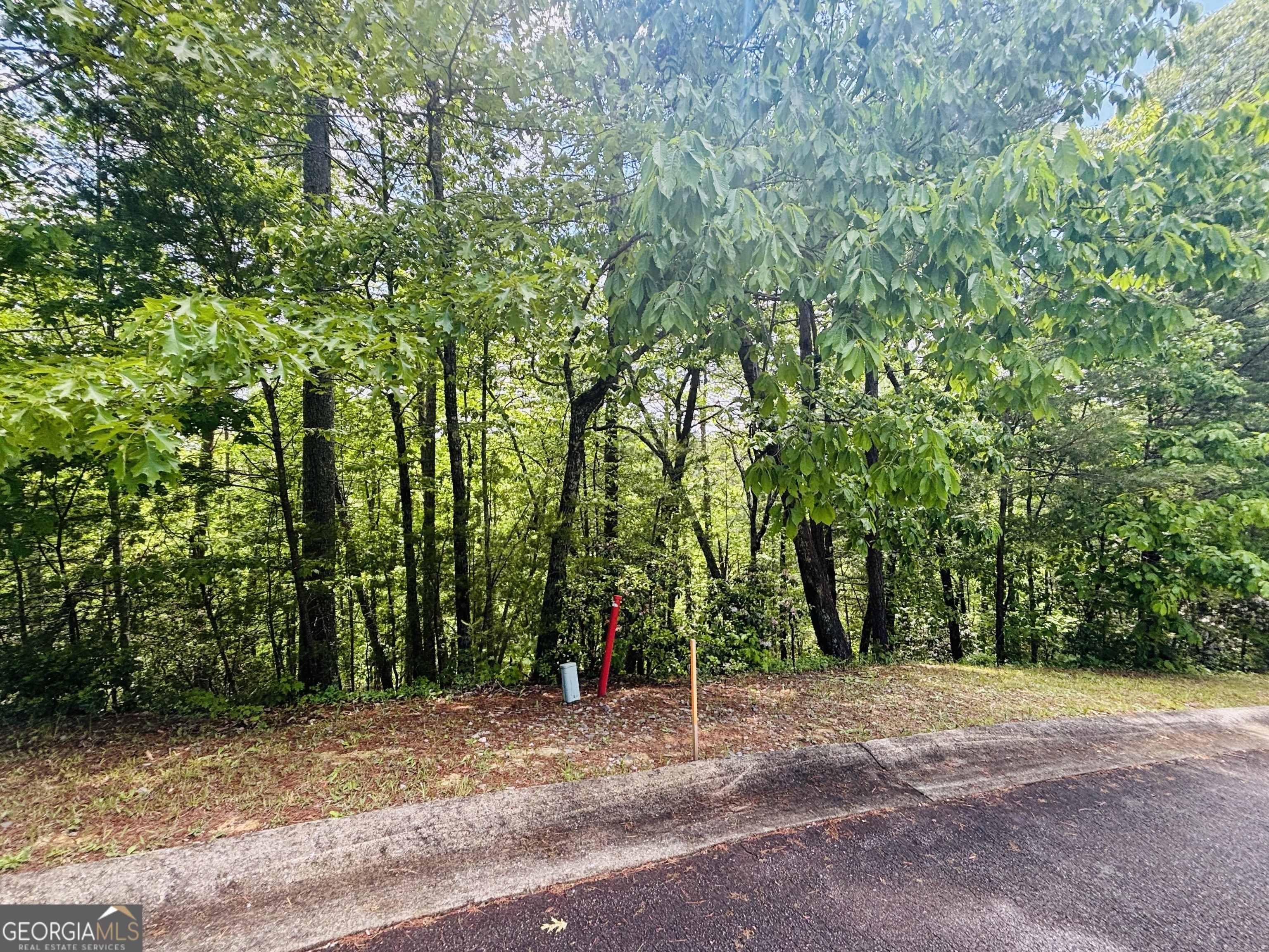 Property Photo: 0 Rosen Strasse Lot 141 GA 30545
