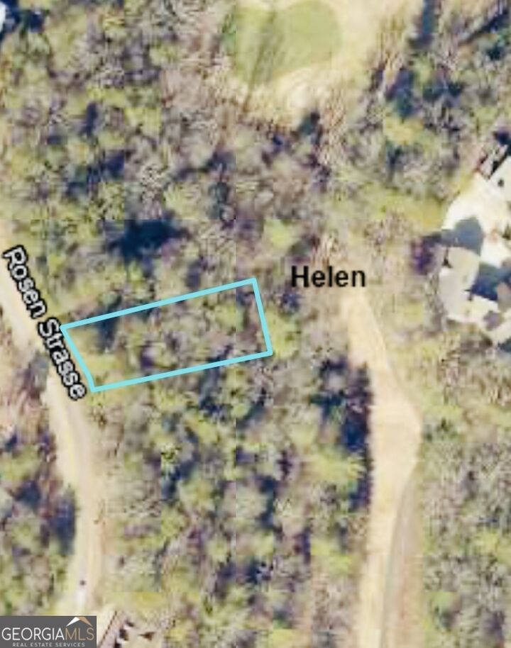Property Photo: 0 Rosen Strasse Lot 141 GA 30545