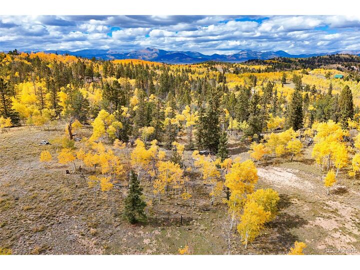 Property Photo:  4019 Buffalo Ridge Rd  CO 80432 