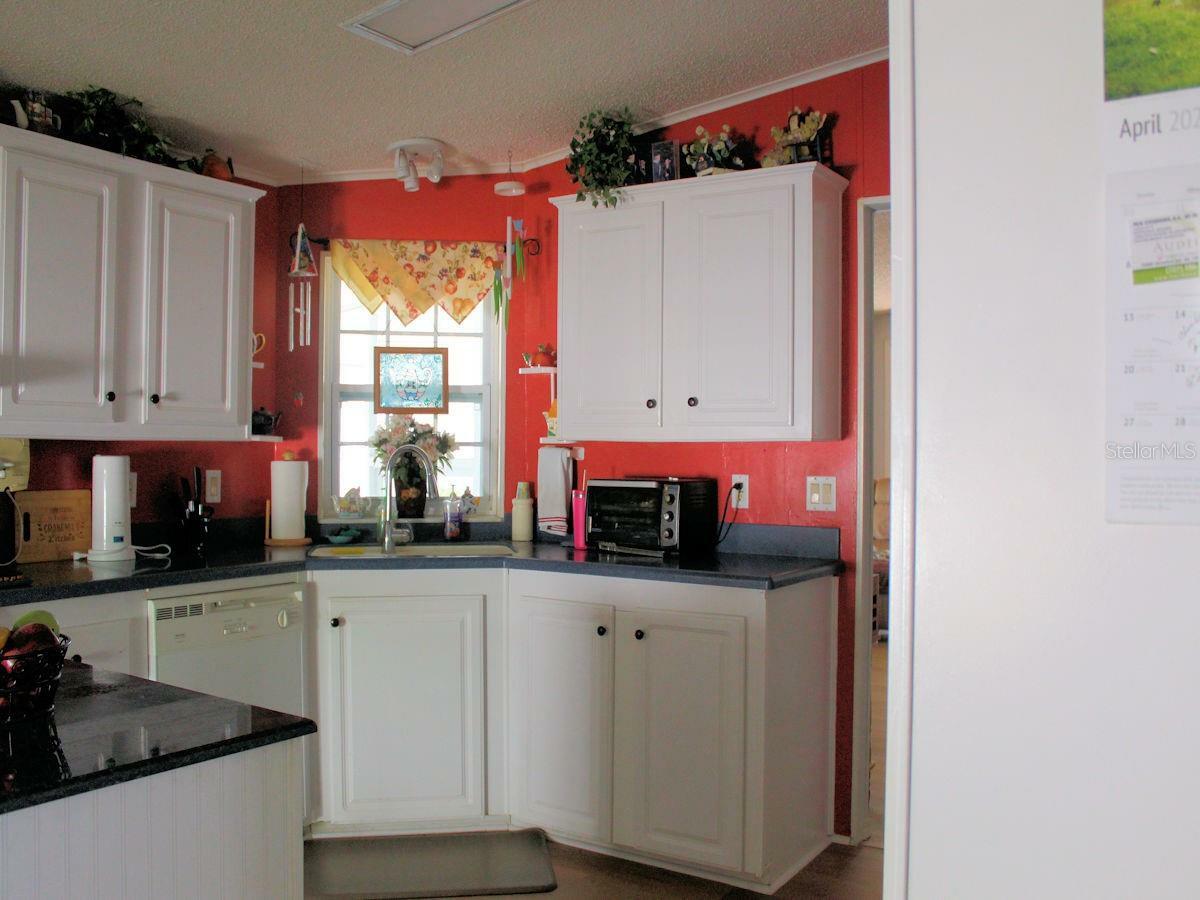 Property Photo: 51 Pindo Palm Street E FL 33770
