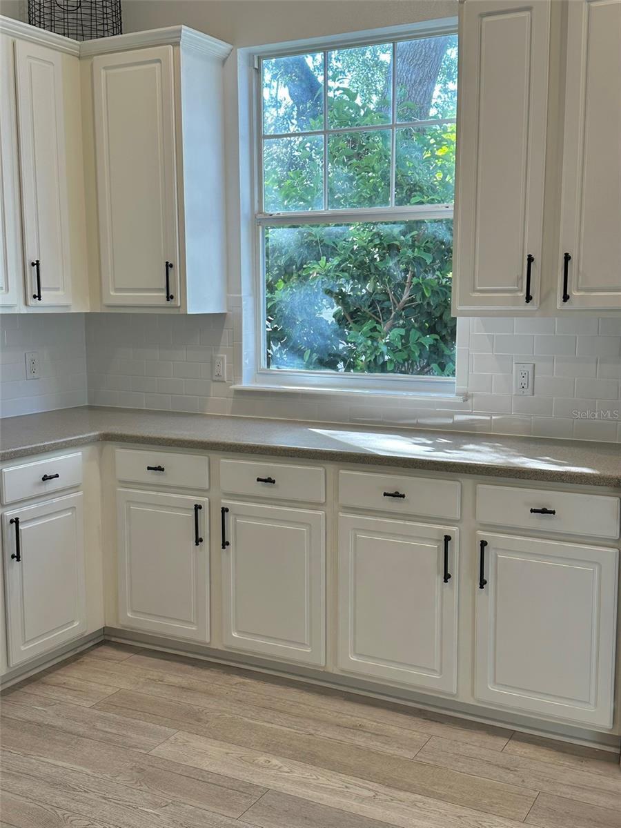 Property Photo: 1101 Rush Court FL 34747