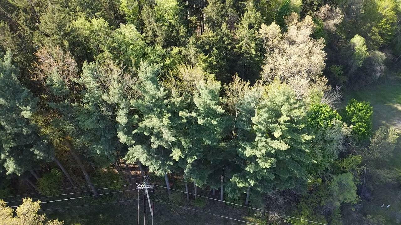 Property Photo: Parkwood Drive MI 49250