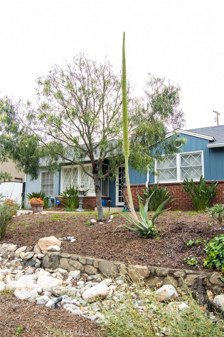 Property Photo: 2619 Mary Street CA 91214