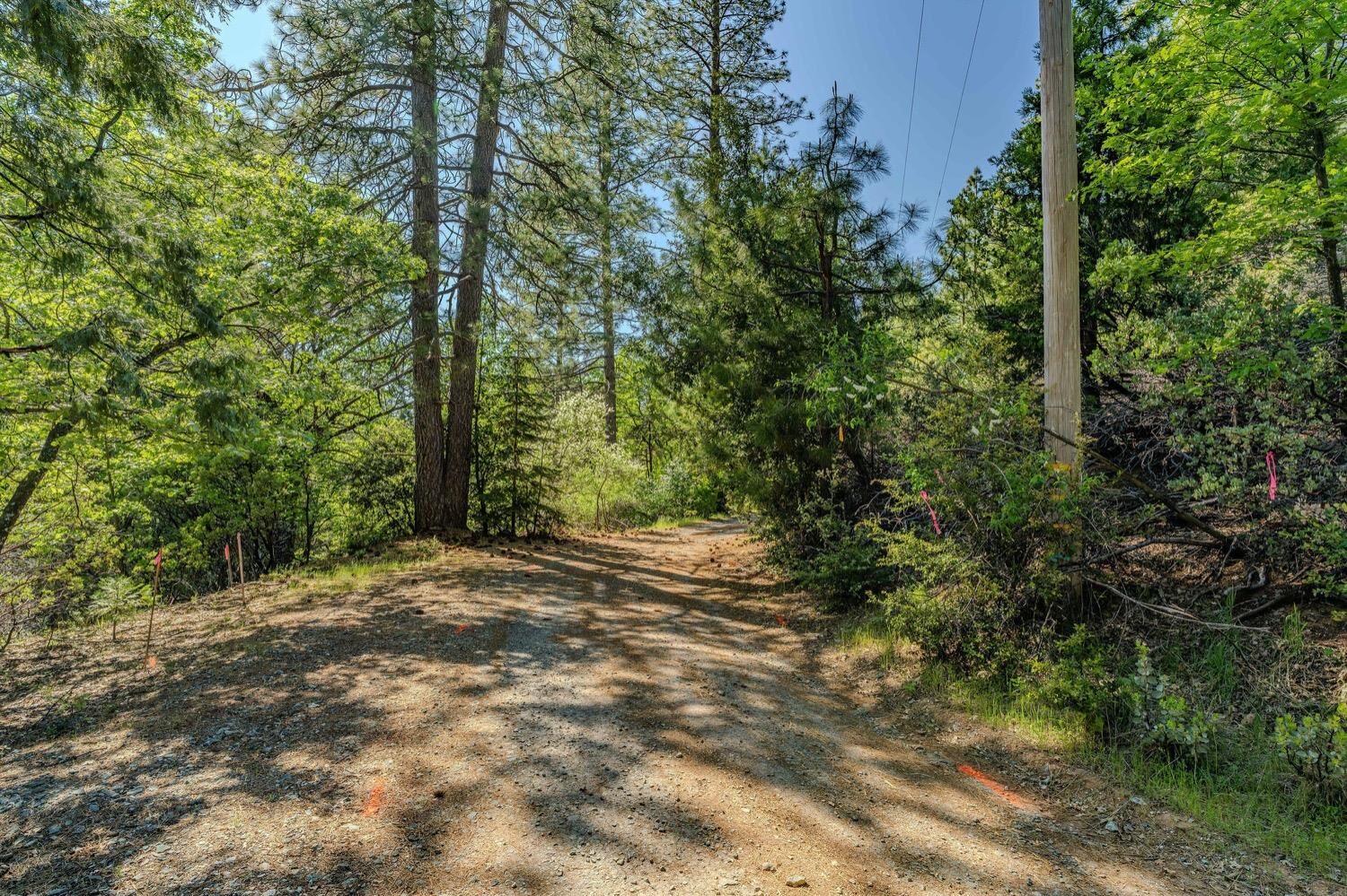 Property Photo:  26771 Four Wheel Drive  CA 95666 