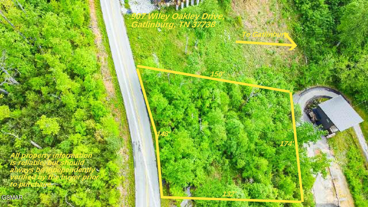 Property Photo:  907 Wiley Oakley Drive  TN 37738 