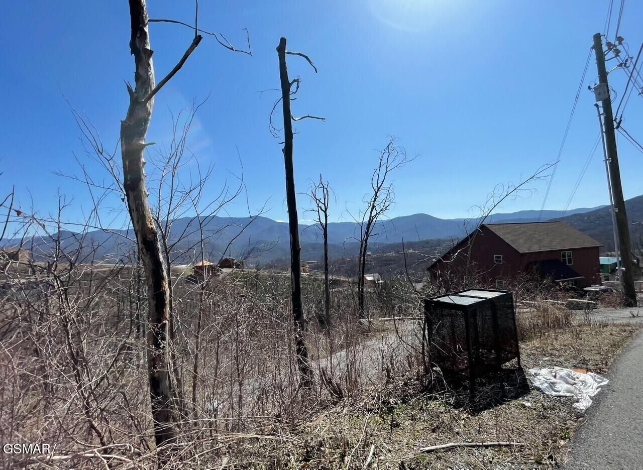 Property Photo: 907 Wiley Oakley Drive TN 37738