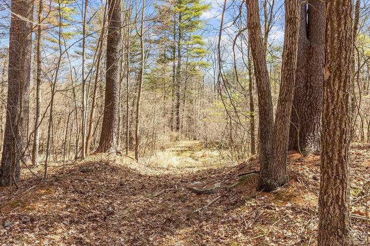 Property Photo: 0 Cauterskill Rd NY 12414