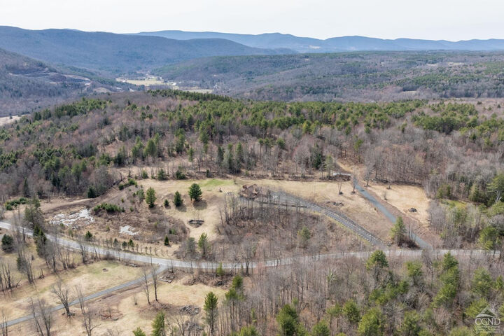 Property Photo:  0 Campbell  NY 12407 