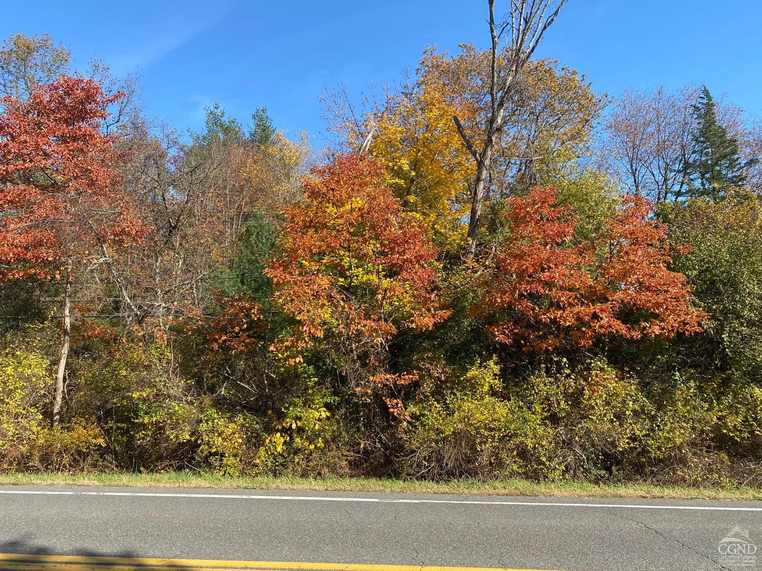 Property Photo:  0 Beaver (Jackson Crs)  NY 12571 
