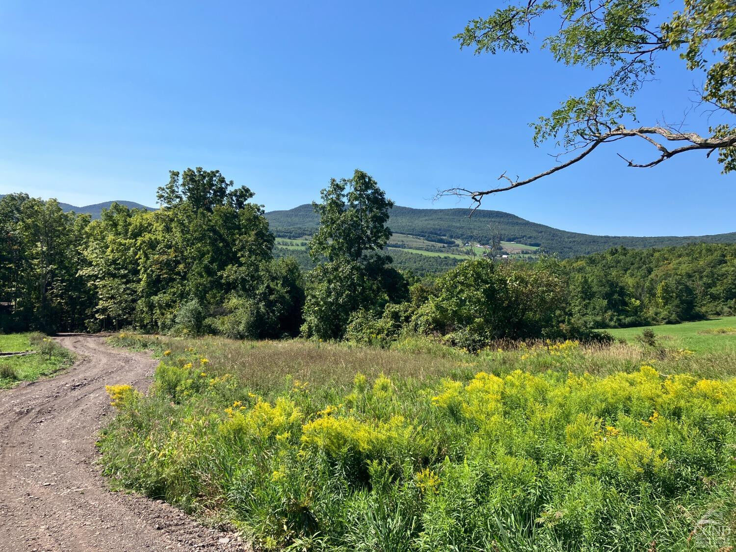 Property Photo:  0 County Route 20  NY 12422 