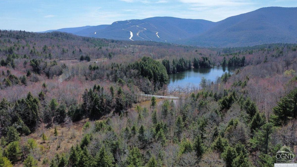 Property Photo: 0 Ford Hill Road NY 12444
