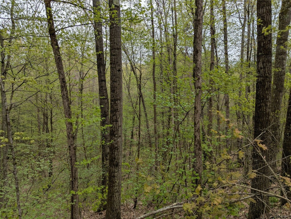 Property Photo: 00 Union Hill Road NY 13743