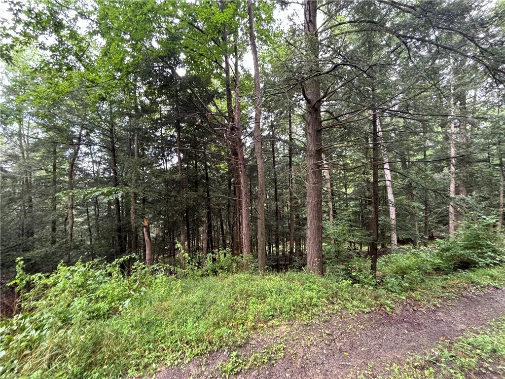 Property Photo: Hickory W NY 14810