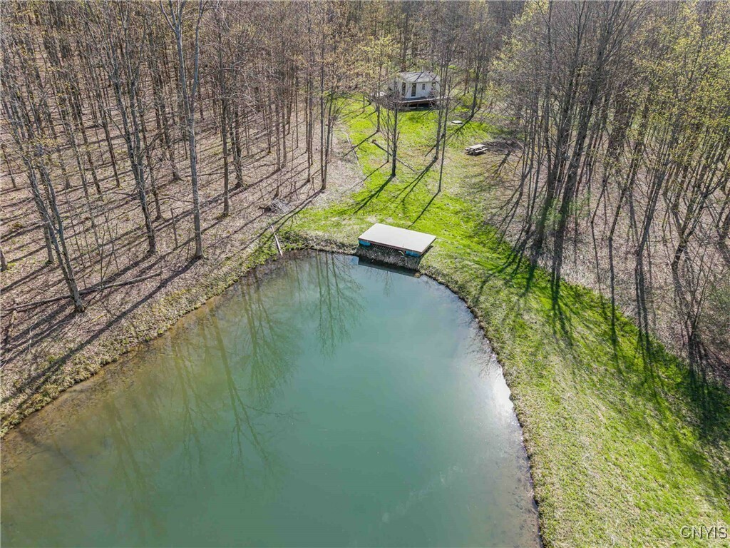 3882 Hurd Road  Greenwood NY 14839 photo