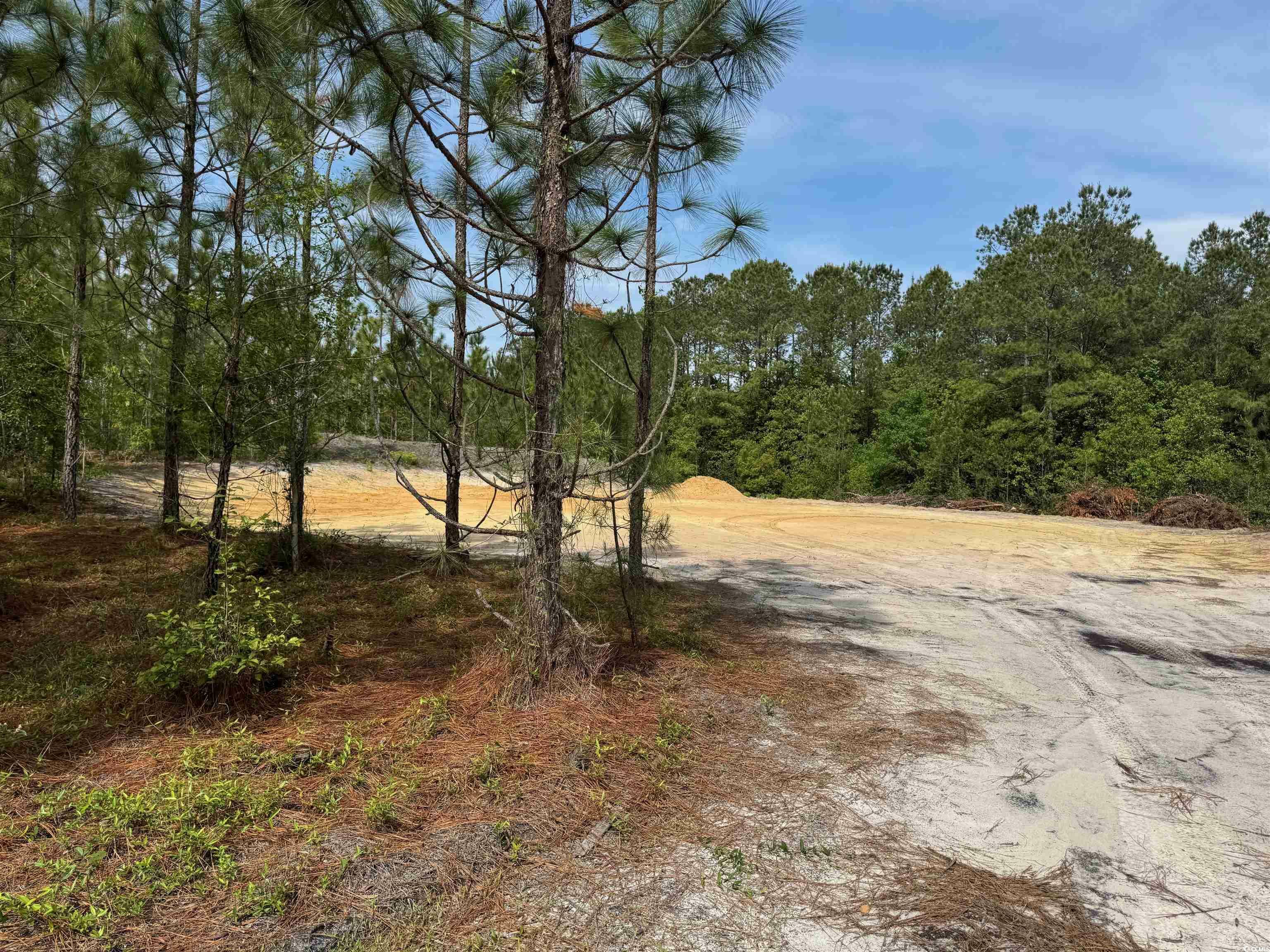 Property Photo: 1698 Carriage Dr. SC 29569