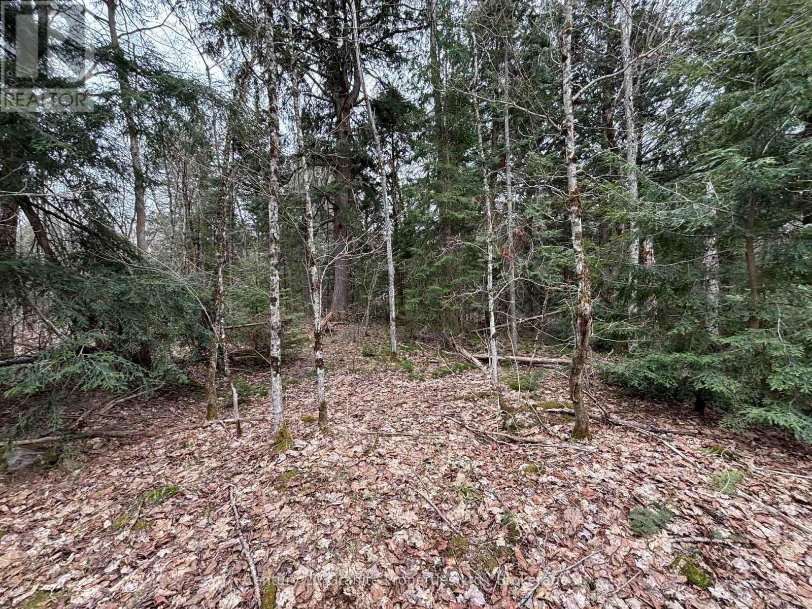 Property Photo:  Lot 1 Loch Erne Road  ON P2A 2W7 