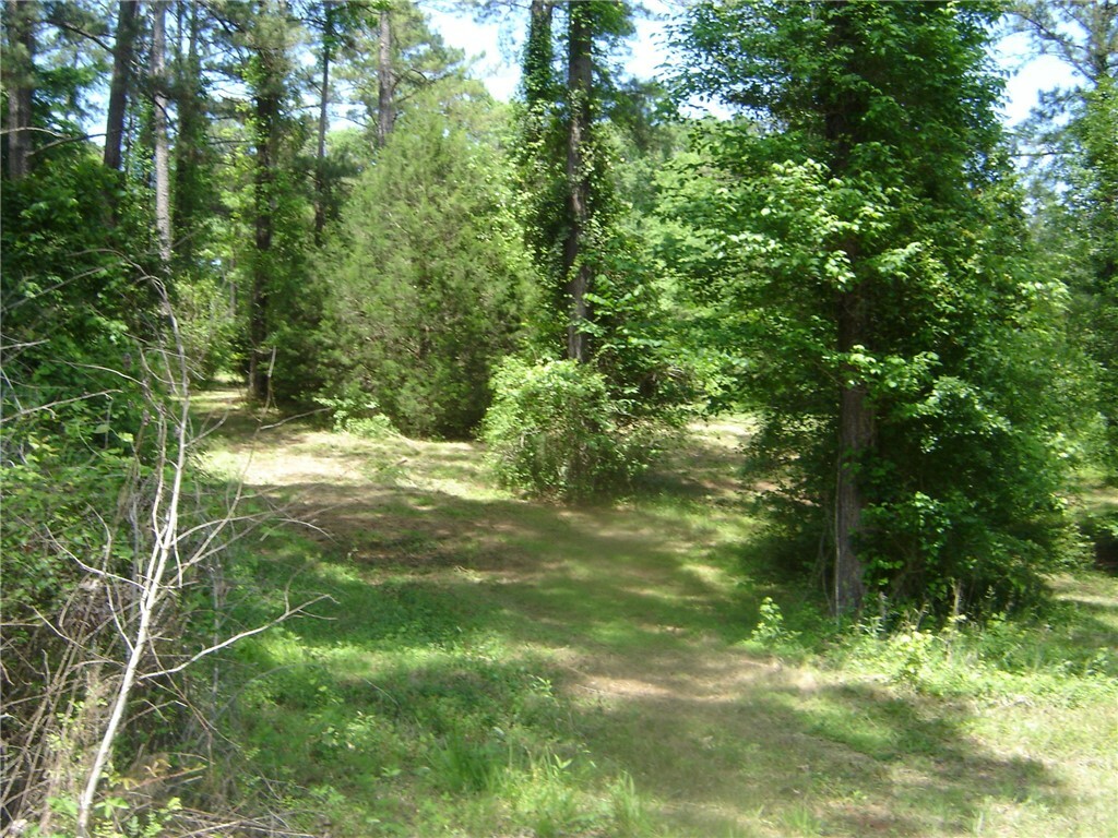 Property Photo: 0 County Road 213 AL 36863