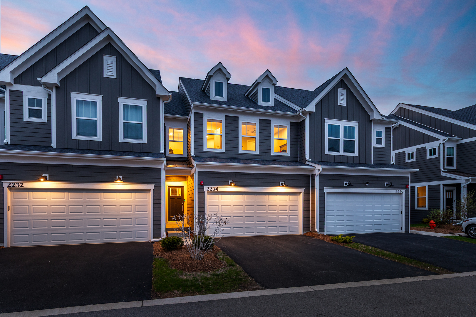 Property Photo: 2234 Weatherbee Lane IL 60563