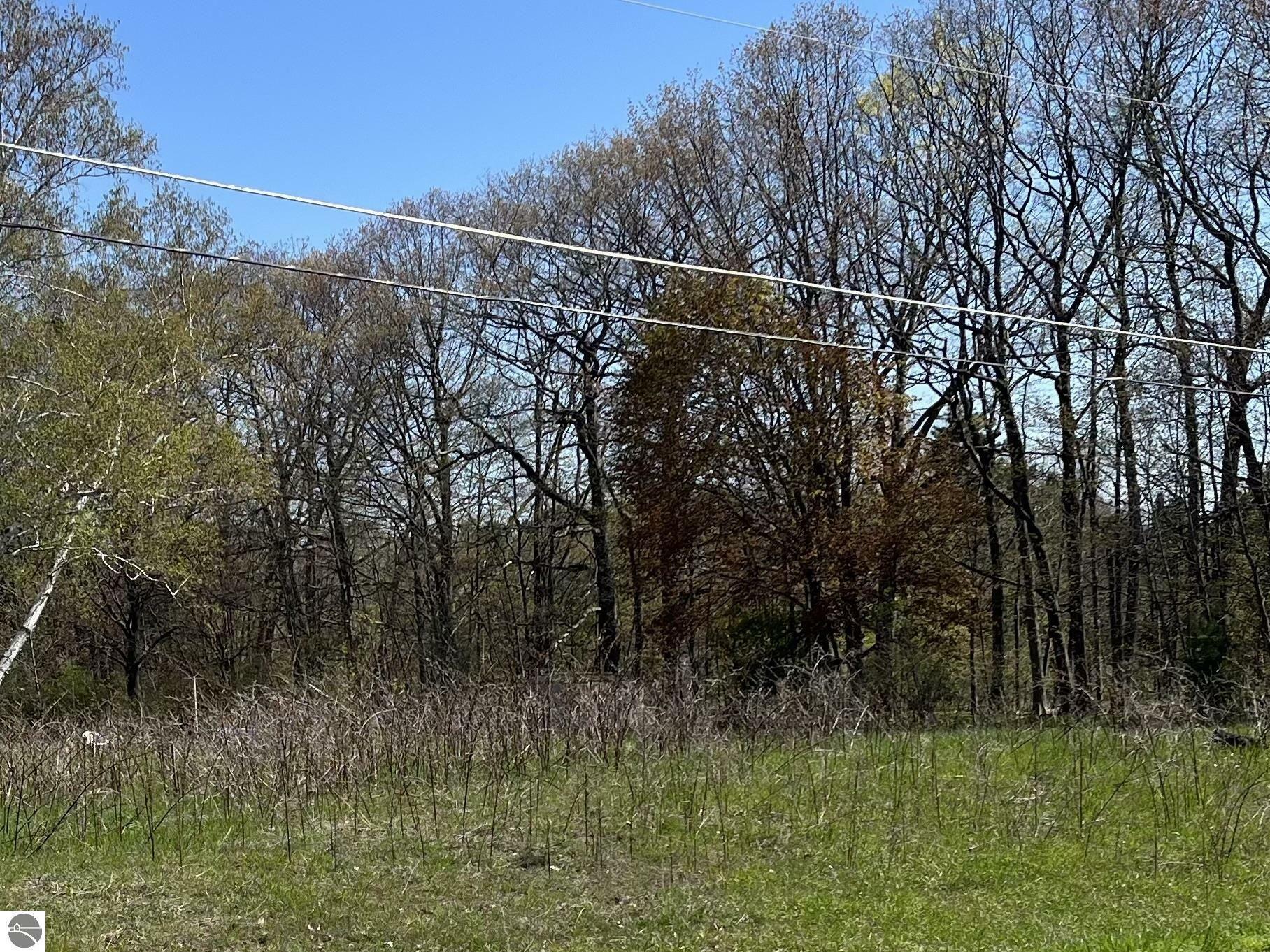 Property Photo: 7016 Hilltop Avenue MI 49686
