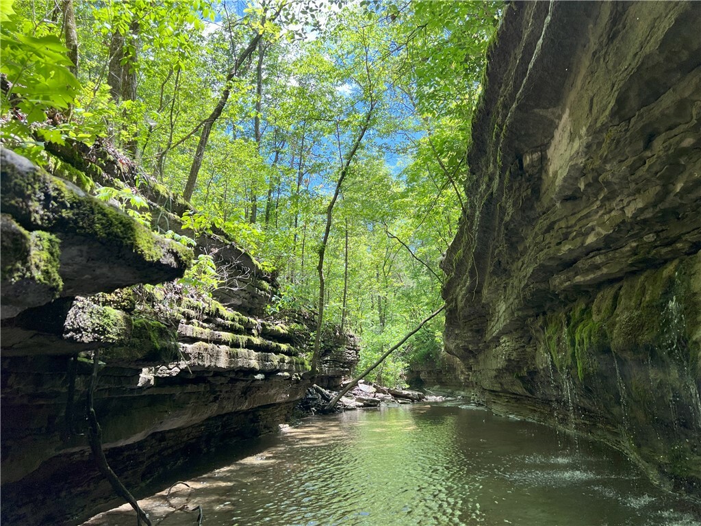Property Photo: US-62 Highway AR 72732