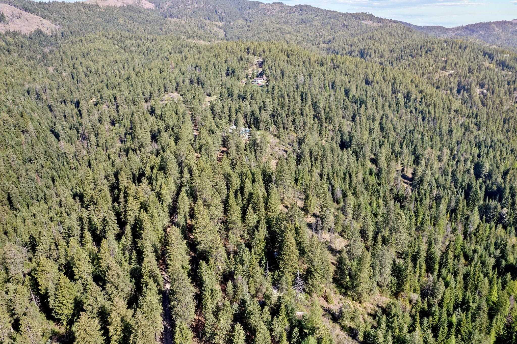Property Photo: 12703 S Alpine Fern Ln WA 99030