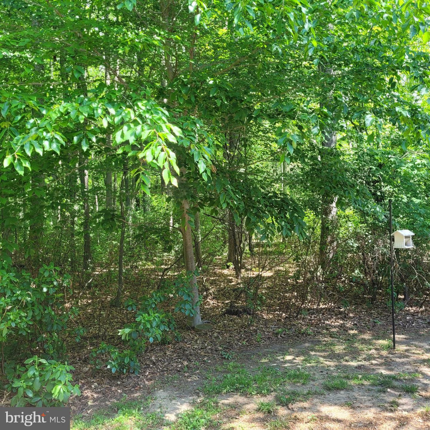 Property Photo: 110 Bluebell La B NJ 08054