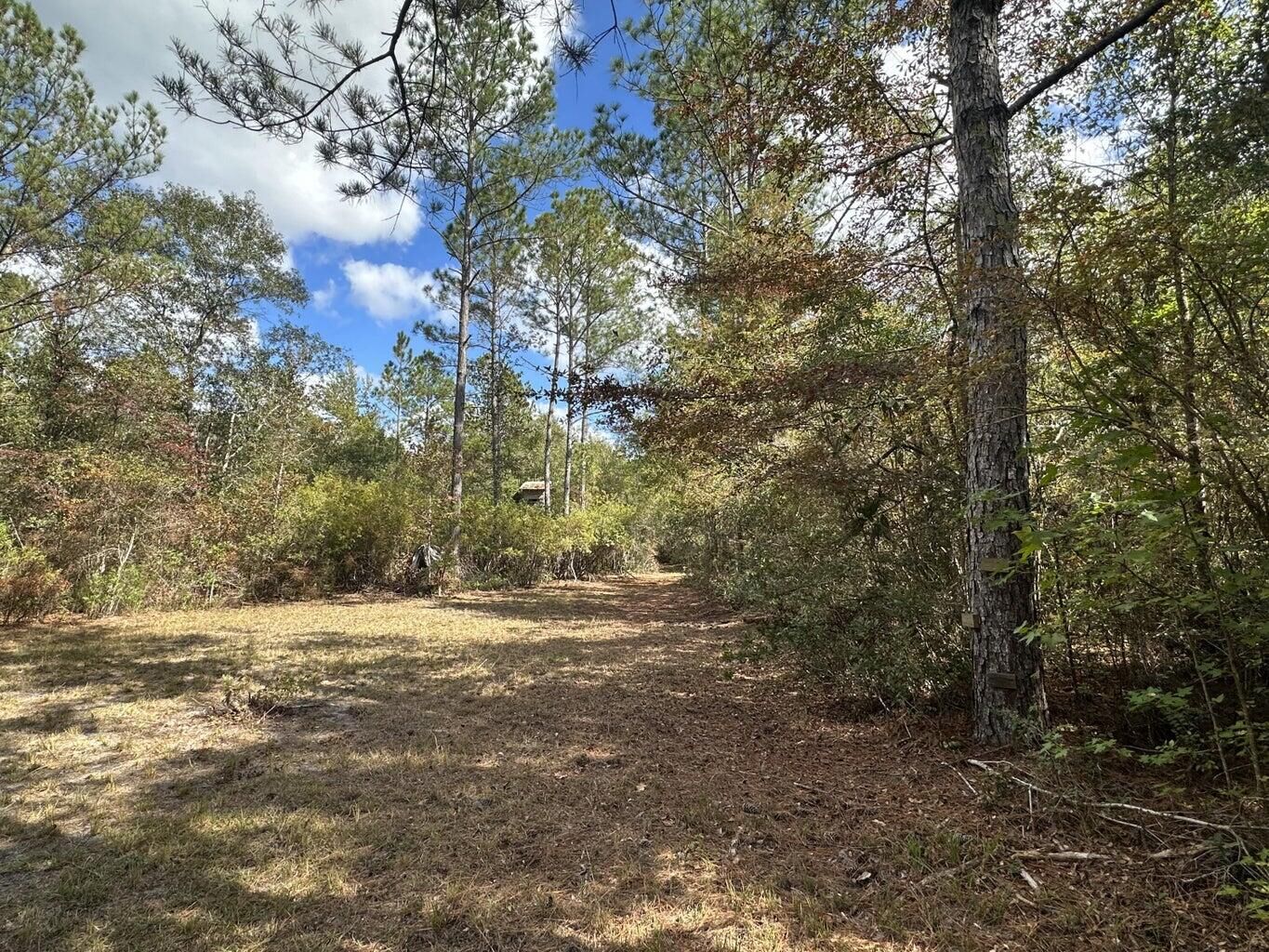 Property Photo: 20 Ac Lacey Lane FL 32536