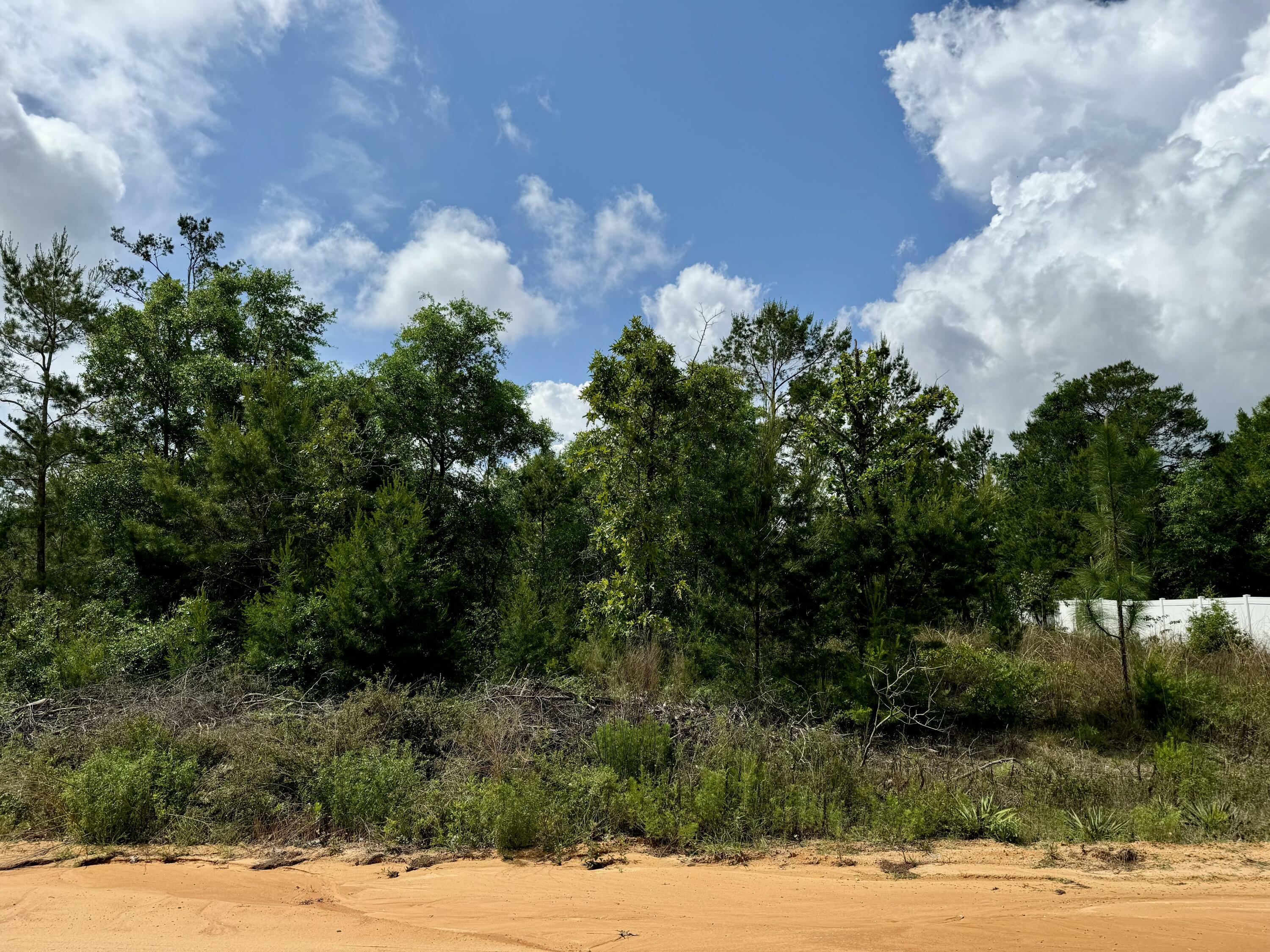 Property Photo:  Lot 3 E Marigold Avenue  FL 32433 