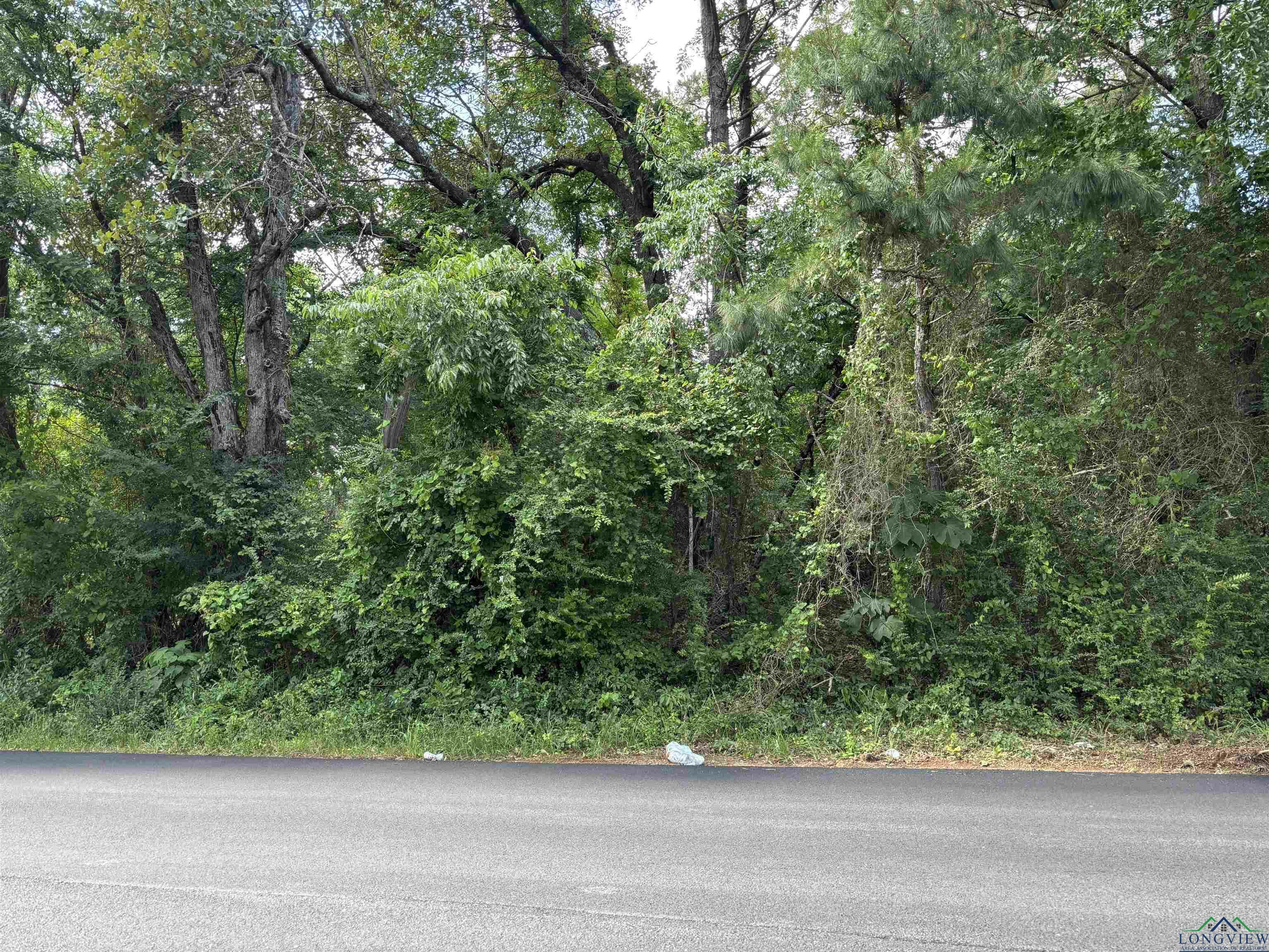 Property Photo: 1905 Martin Luther King Jr Dr TX 75652
