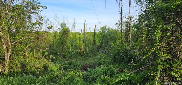 Property Photo: Old Mountain Road NY 10963