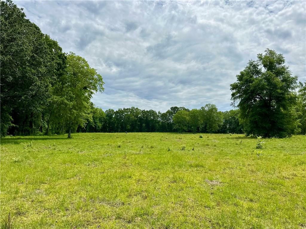 Property Photo: 00 Johnson Road AL 36375