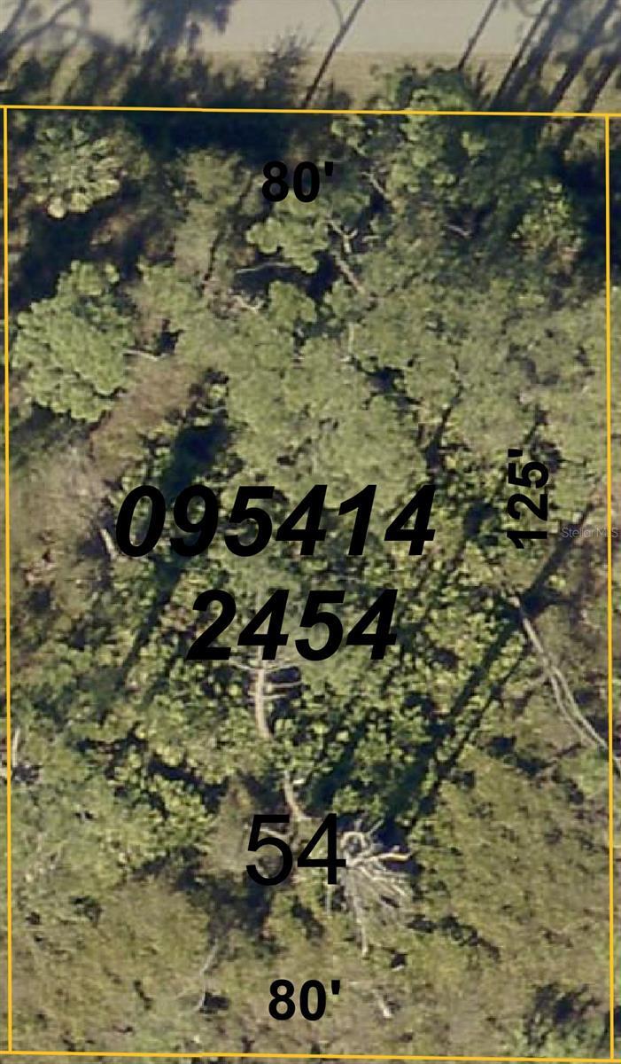 Property Photo:  Lady Slipper Ave.  FL 34291 