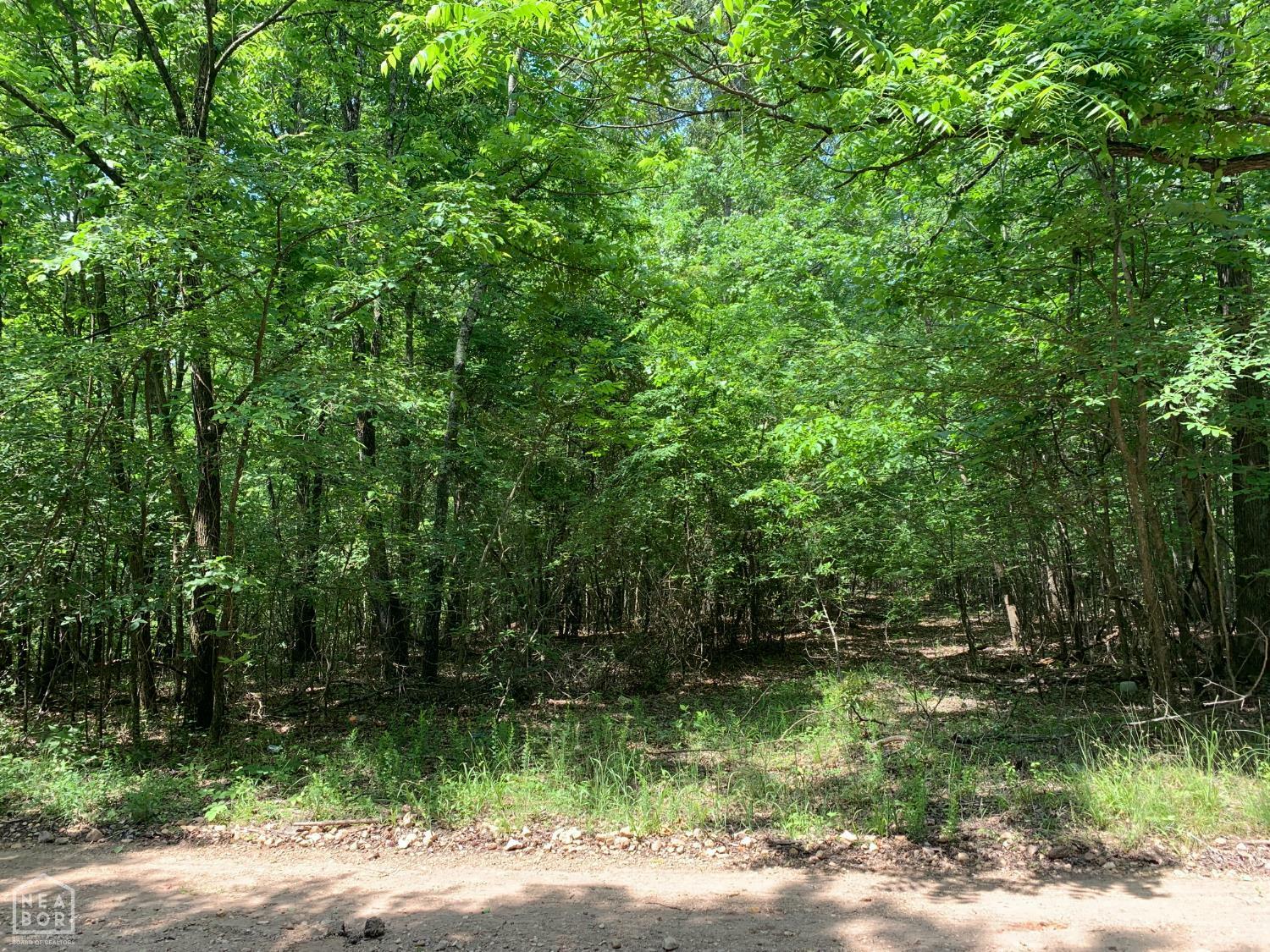 Property Photo: 10 County Road 331 AR 72416
