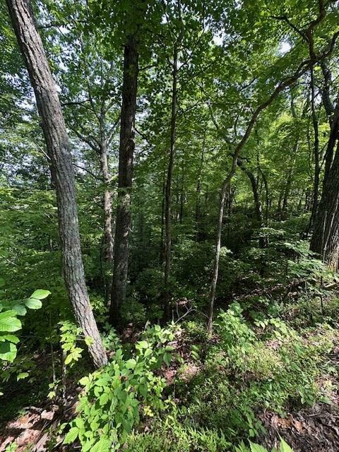 Property Photo: 16 Ac Campbell Cove Creek TN 37391