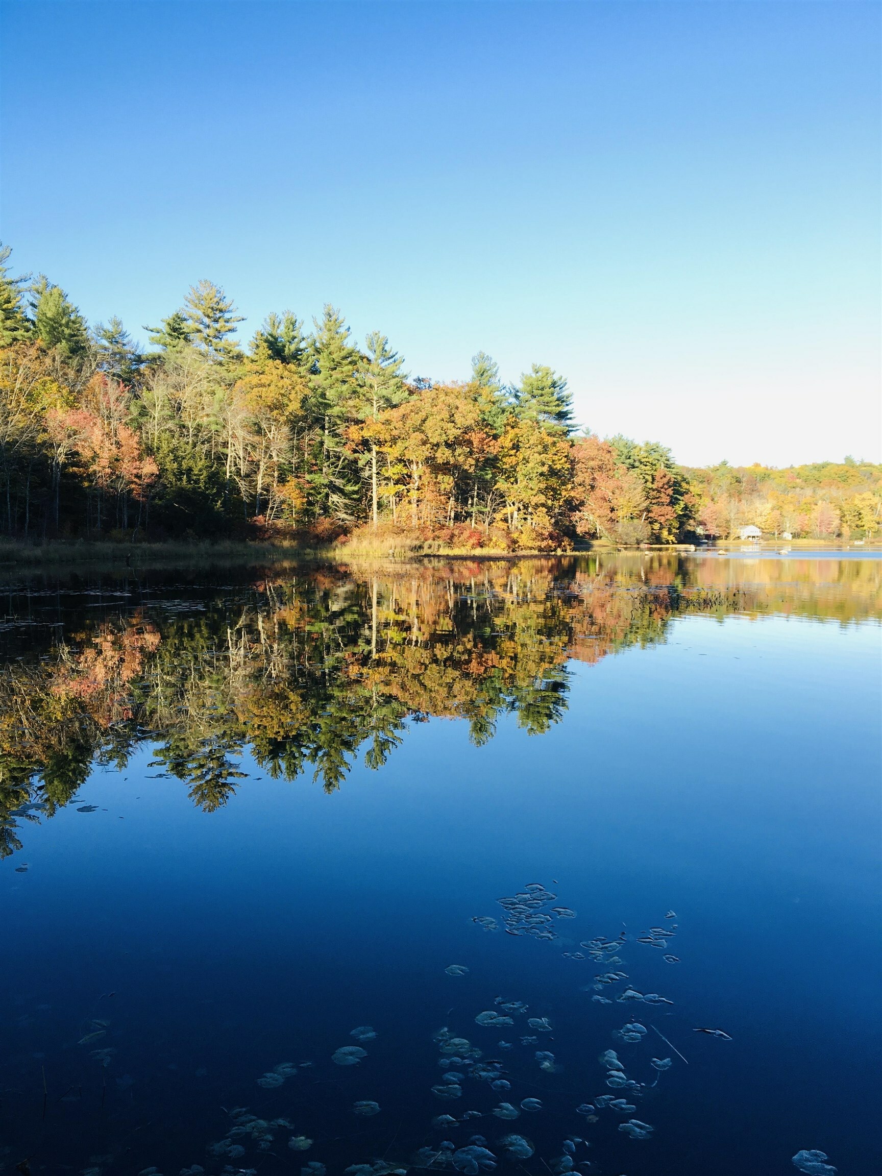 Property Photo: 00 Flower Drive NH 03825