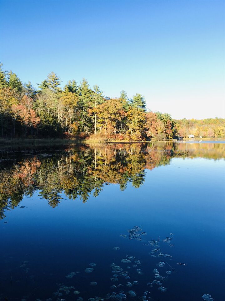 Property Photo:  00 Flower Drive  NH 03825 