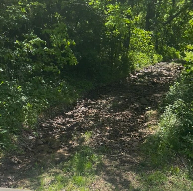 Madison 295  Crosses AR 72727 photo