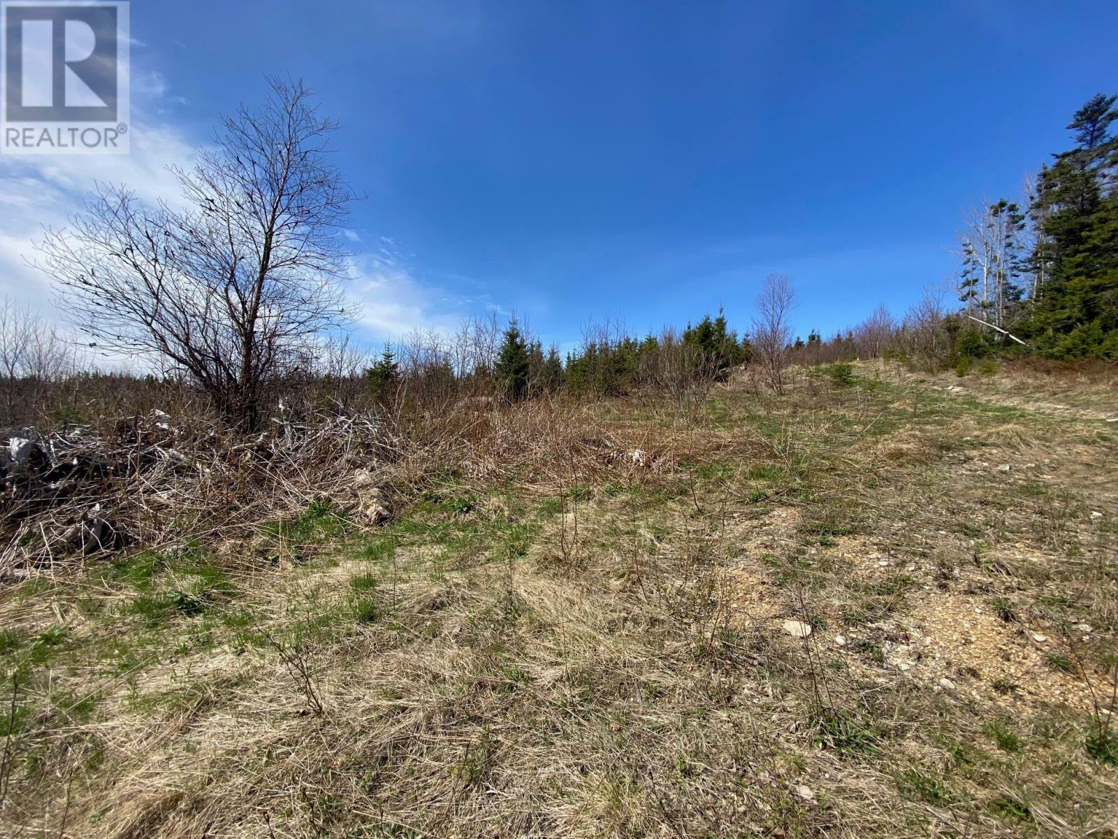 15 Brakes Lane  Meadows NL A2H 6B9 photo