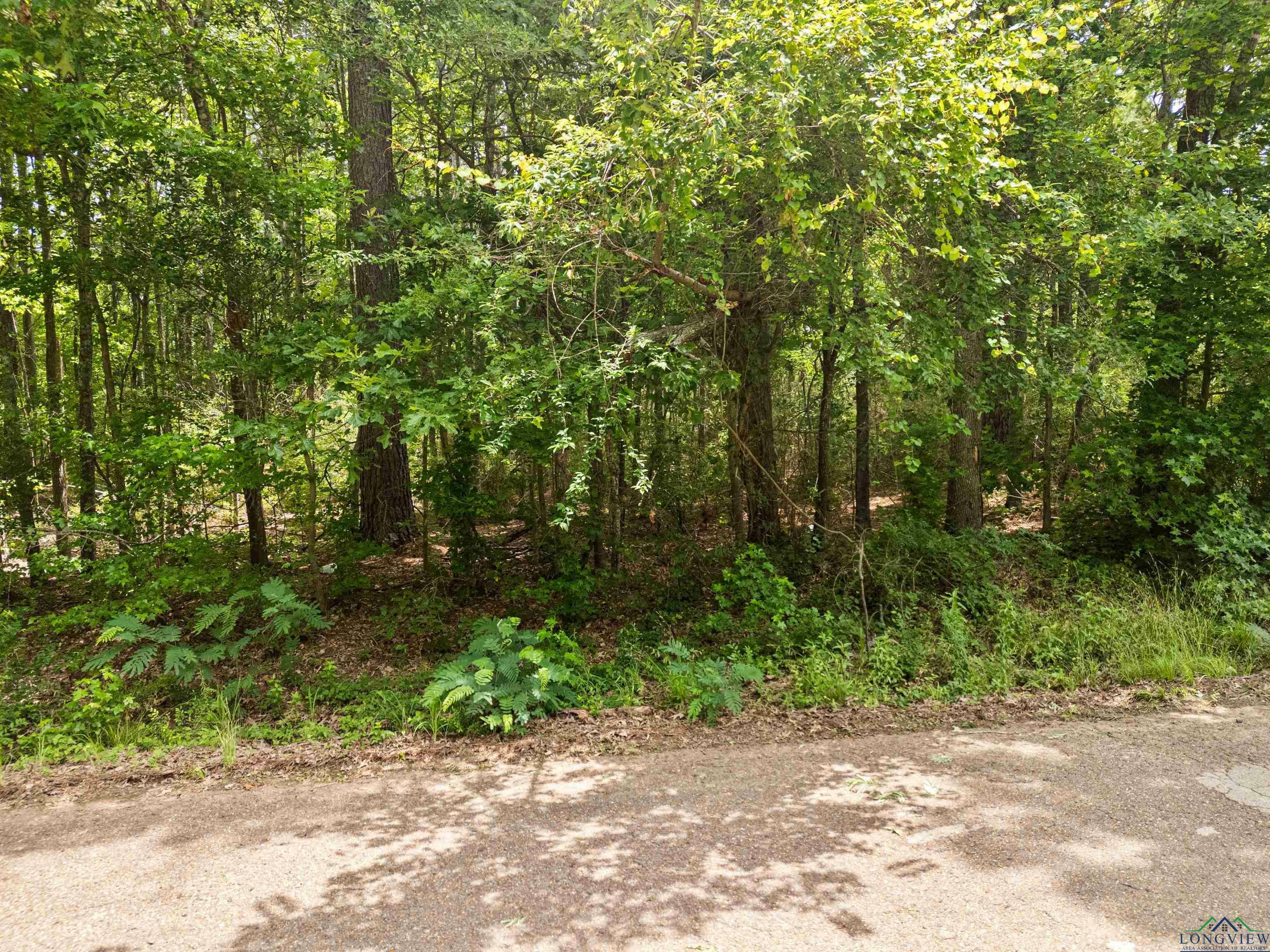Property Photo: Tbd Amos Rd. TX 75602