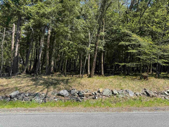 Property Photo: 169 Slayton Hill NH 03766