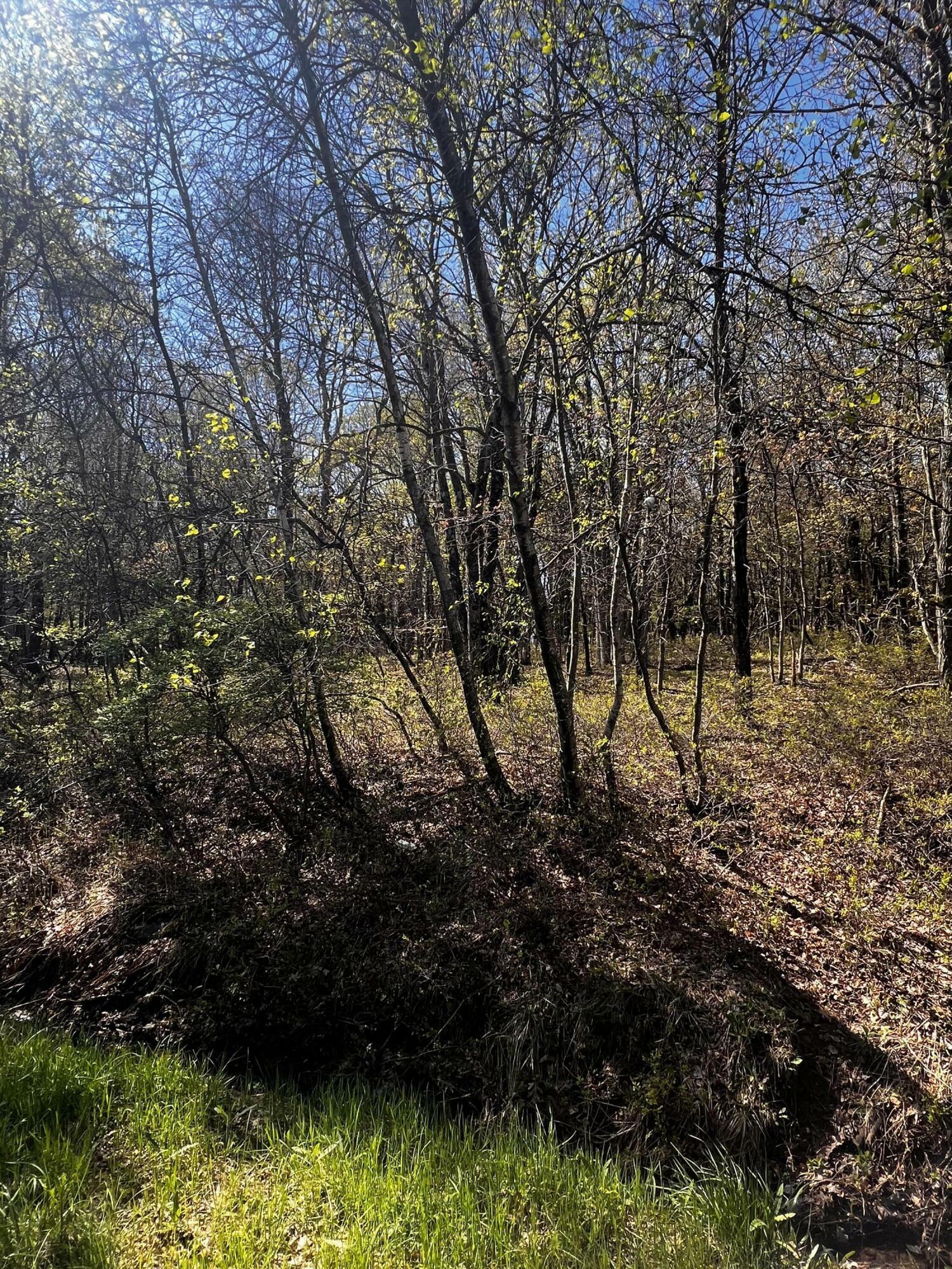 Property Photo: Lot 5915 Wild Laurel Drive PA 18334